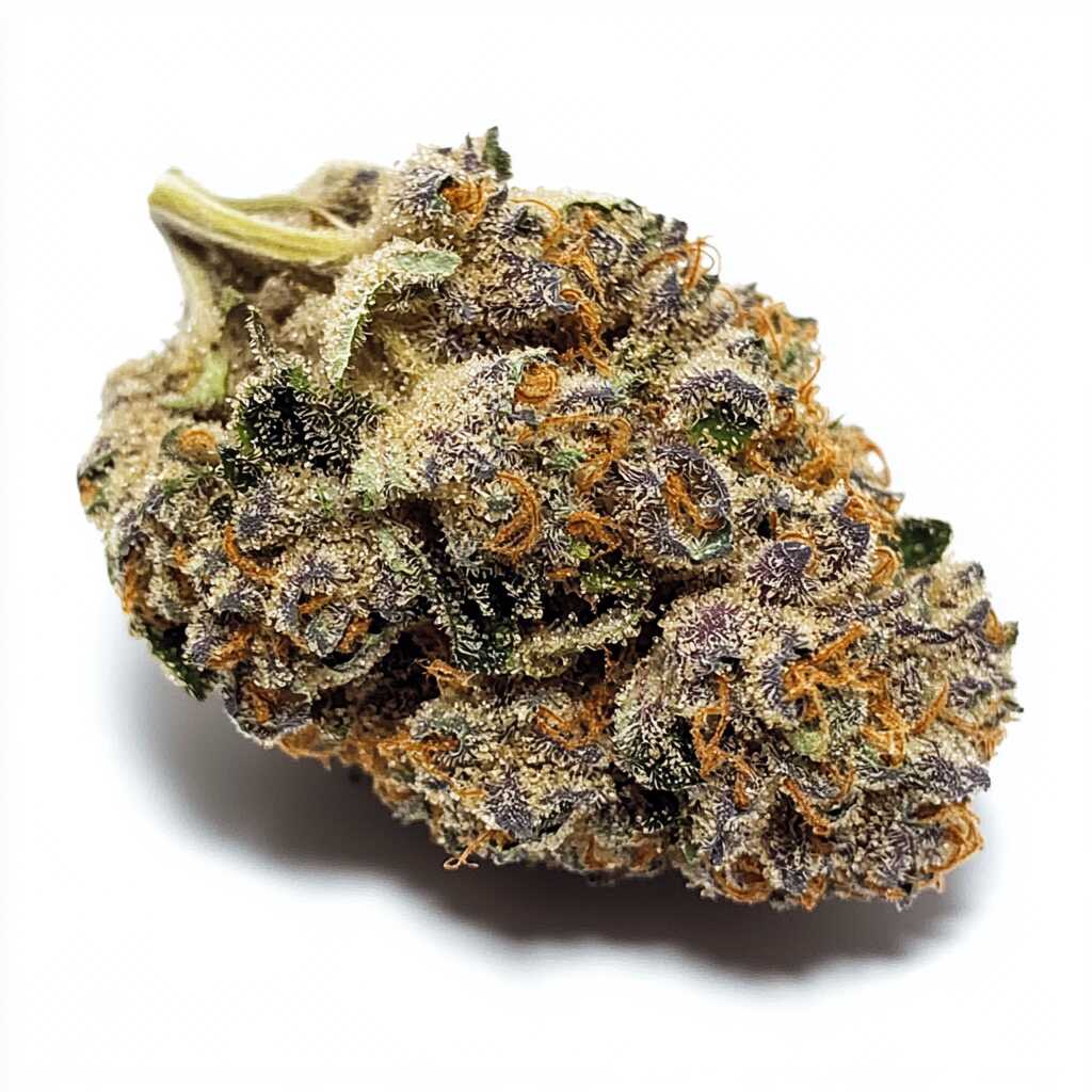 Symbolbild: Curaleaf Natural 22/1 PT WPT