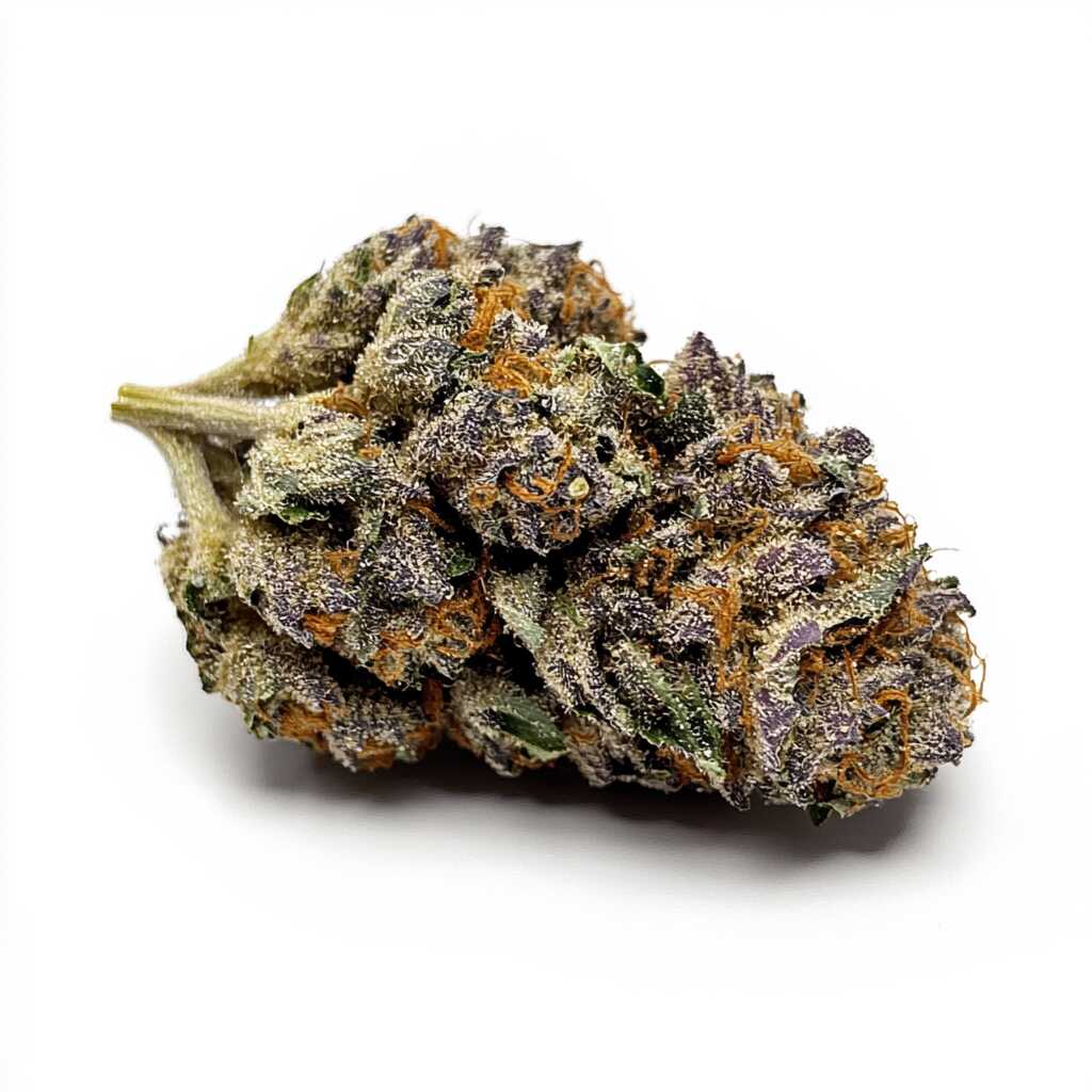 Symbolbild: ZOIKS 31/1 MOT