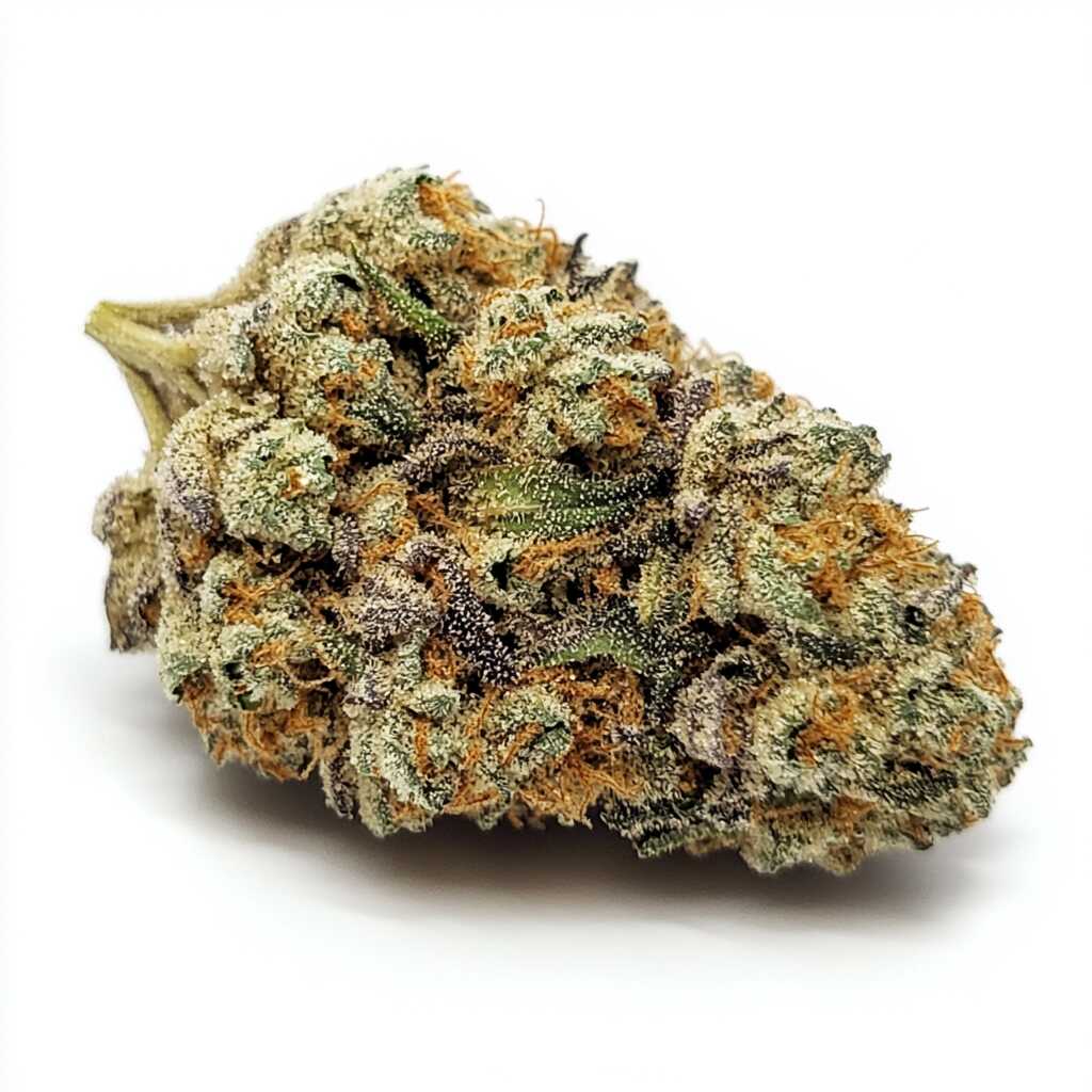 Symbolbild: TRUU GT 27/1