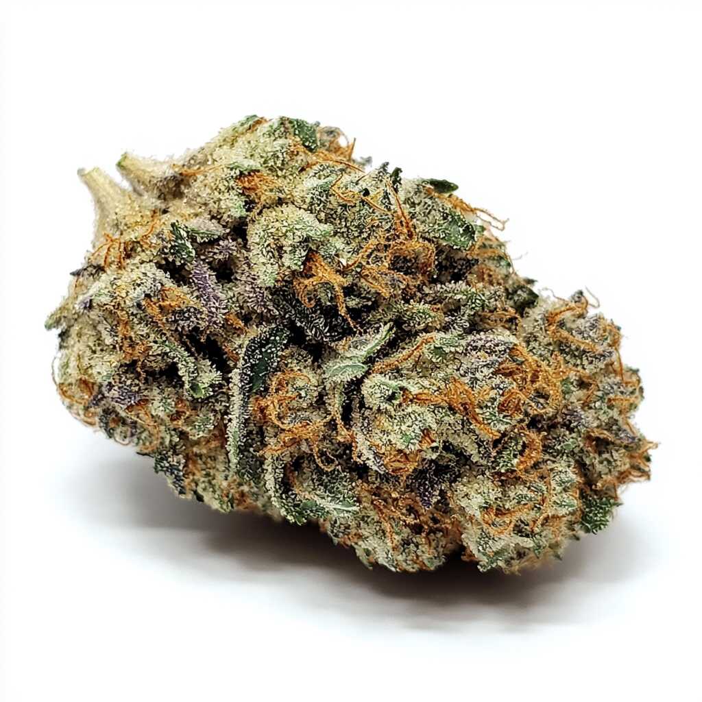 Symbolbild: enua 30/1 MMN CA