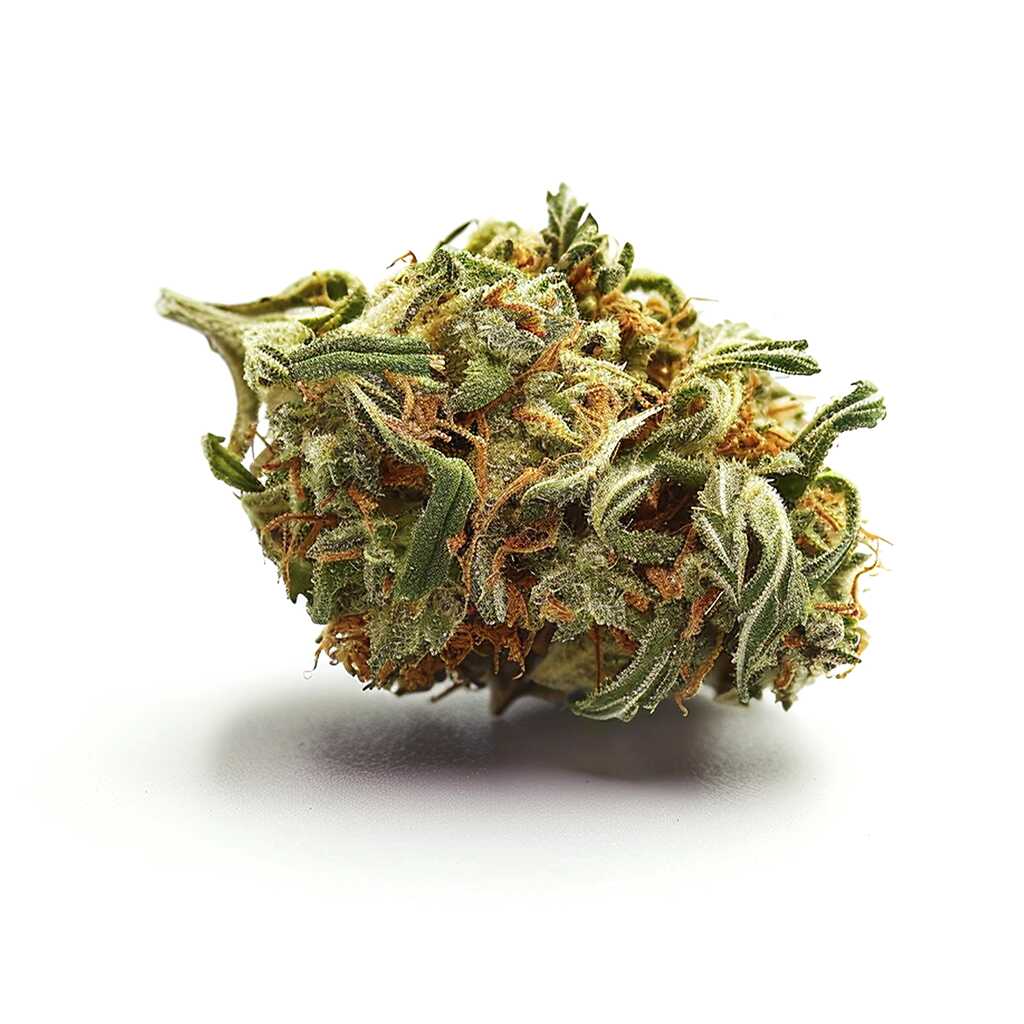 Symbolbild: Materia KMZ 22/1 Kushmintz-Z