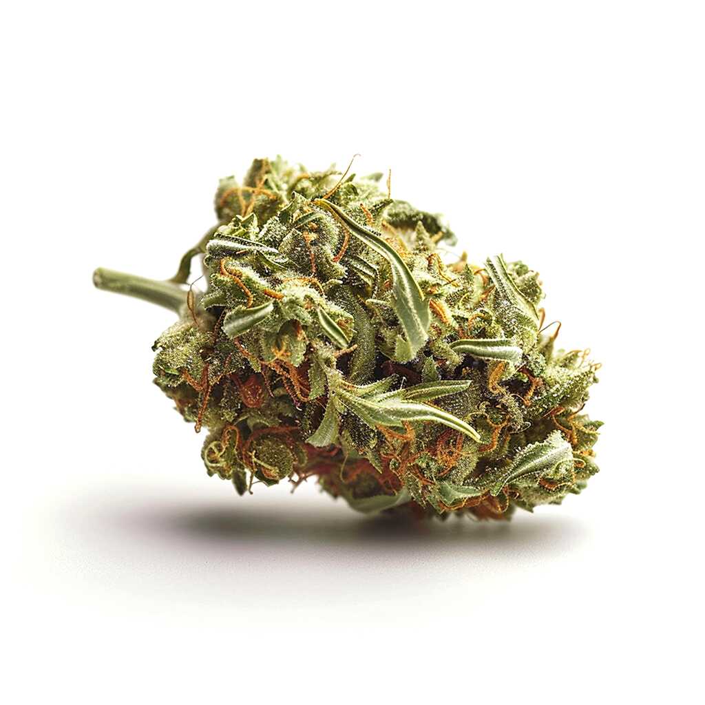 Symbolbild: Cannamedical Indica Classic AU