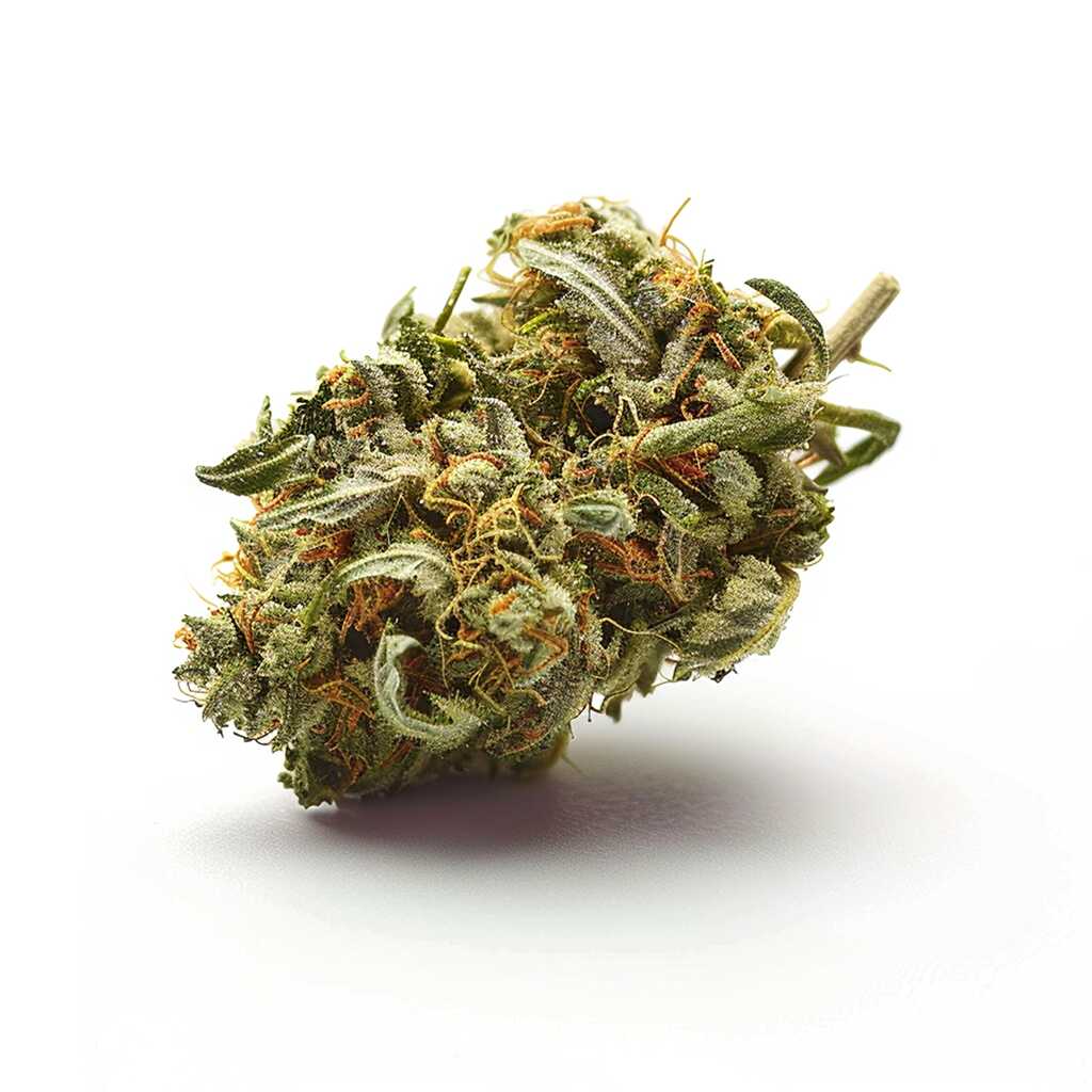 Symbolbild: Canify Cannabis flos 22/1 PT Ku. ISS