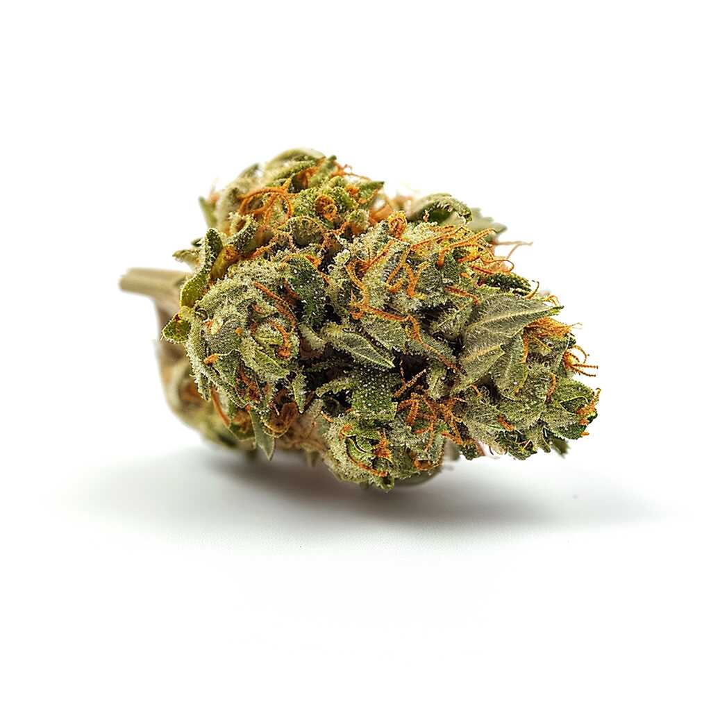 Symbolbild: MGF AB 27/1